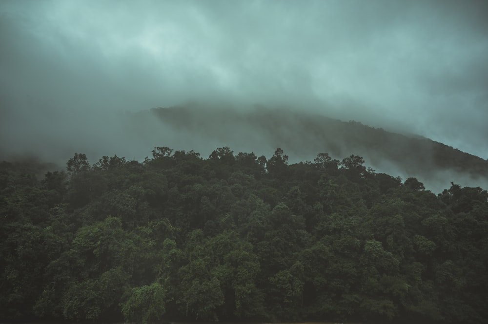 Ranipuram Trek – 1N/2D from Bangalore