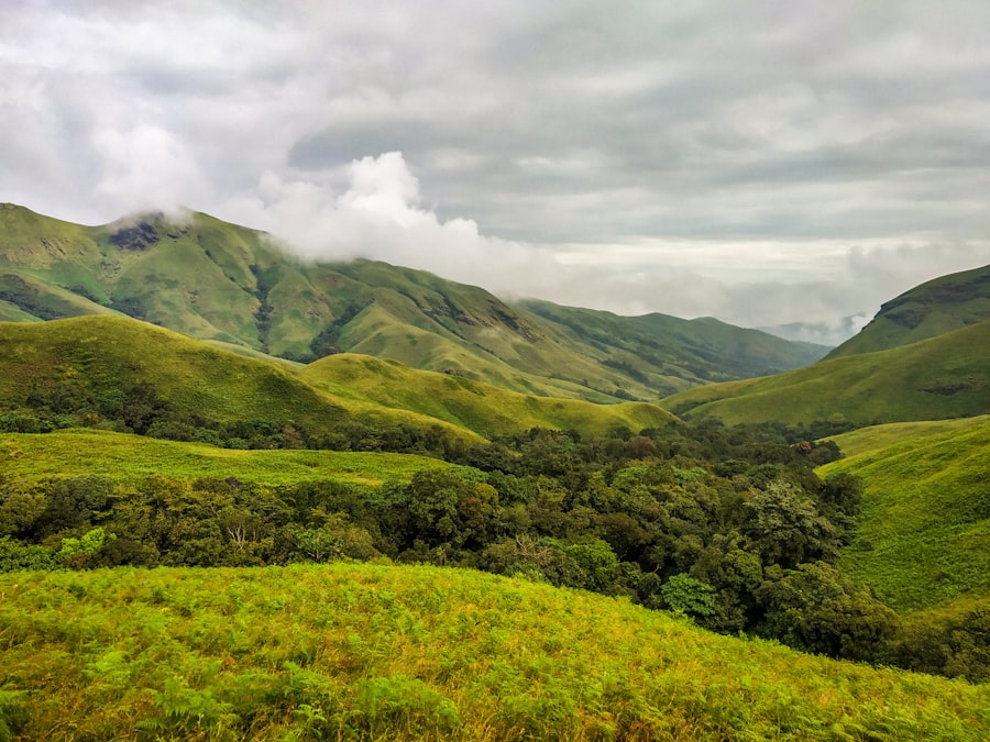 Trekking with Elneeru