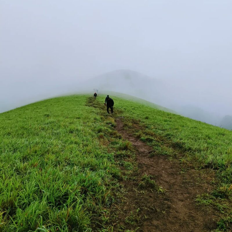 Nethravathi Peak Trek - Image 3