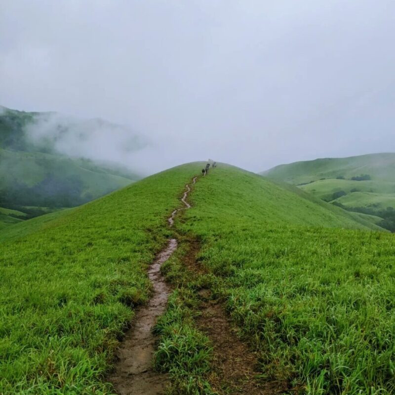 Nethravathi Peak Trek - Image 2