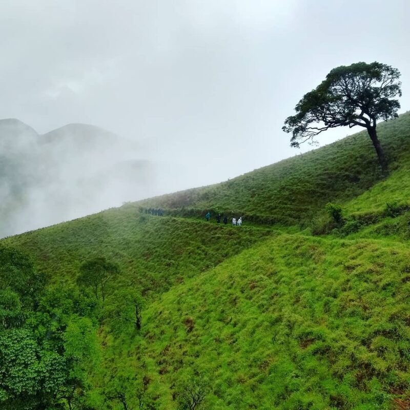 Kudremukha Trek - Image 2