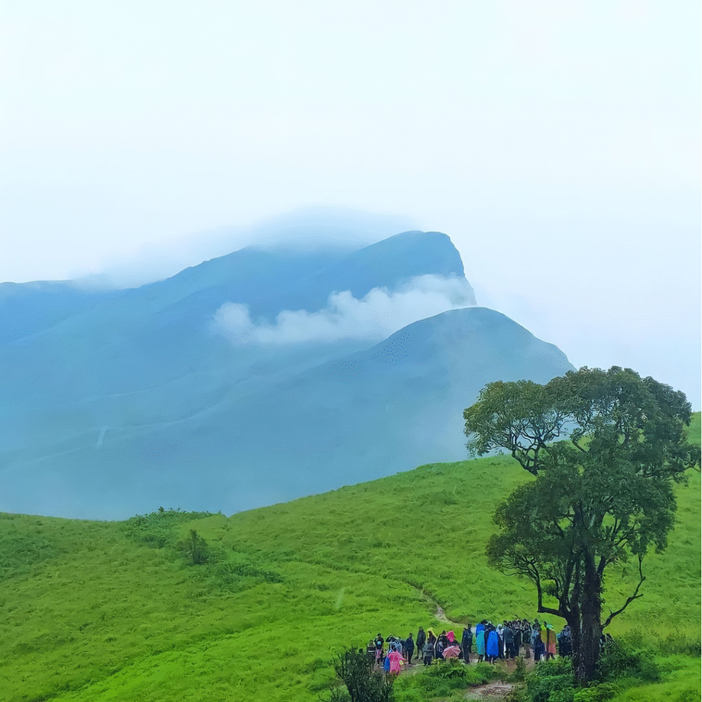 Kudremukha Trek