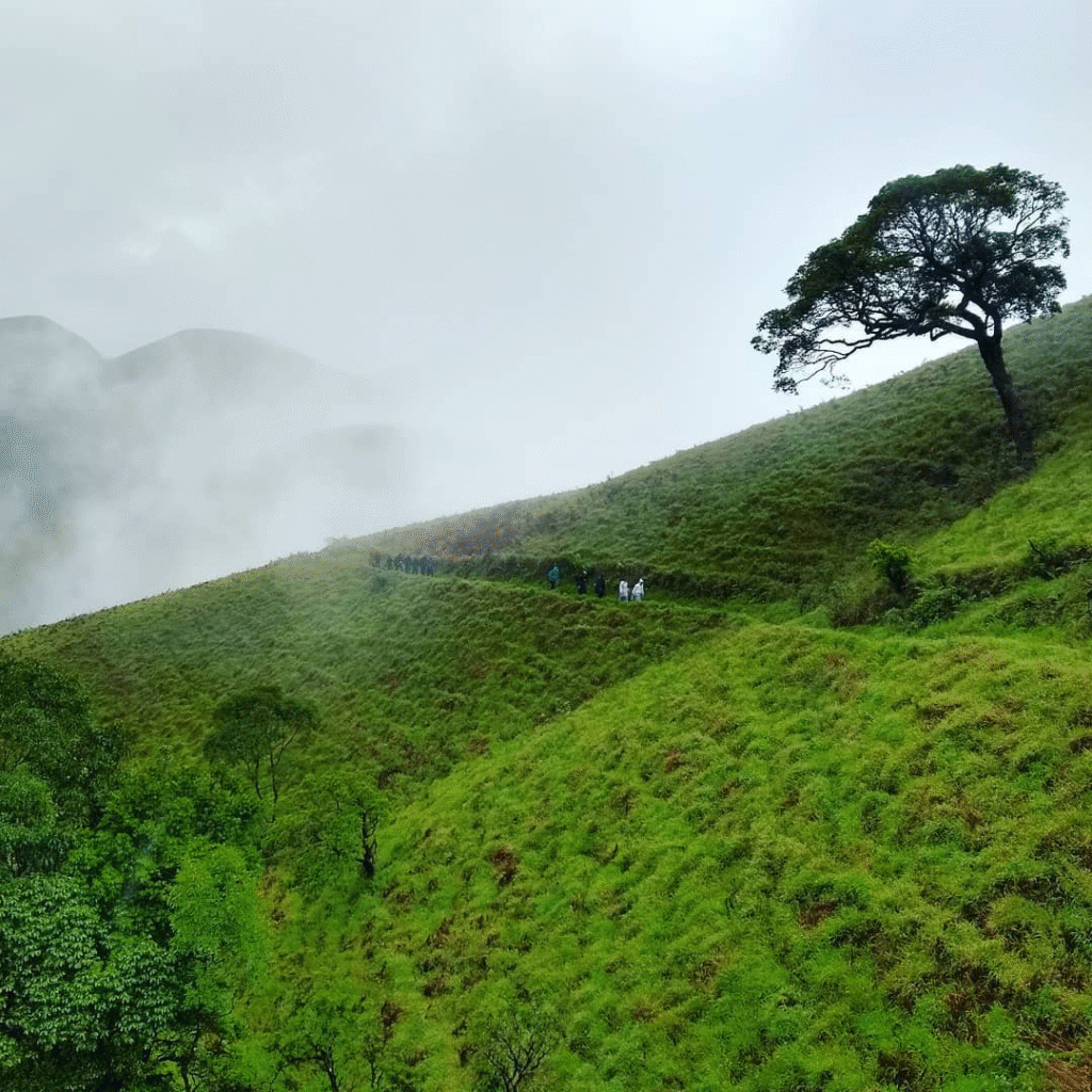 Kudremukha Trek
