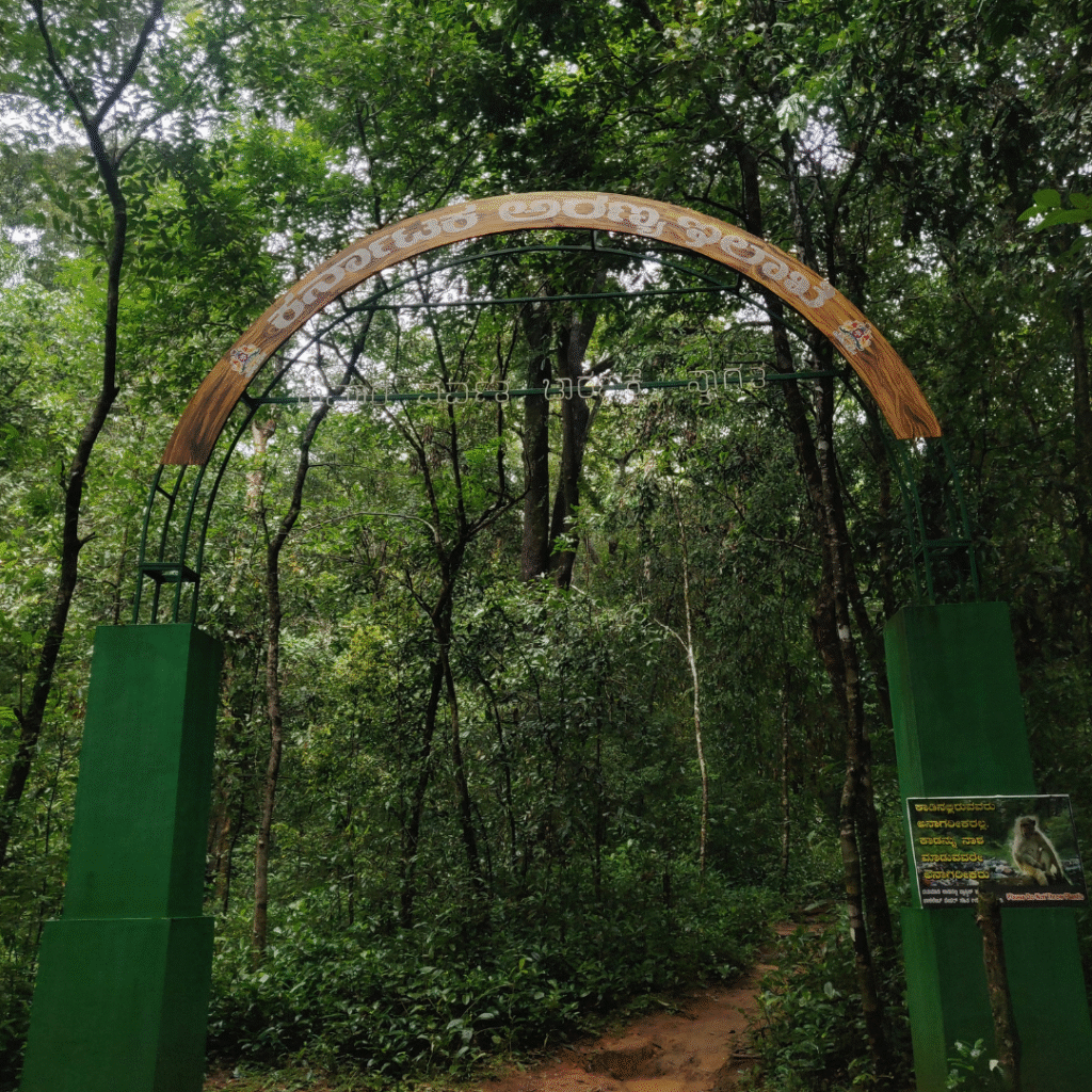Kumara Parvatha Trek (via Kukke Subramanya)