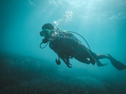 Netrani scuba diving underwater photo