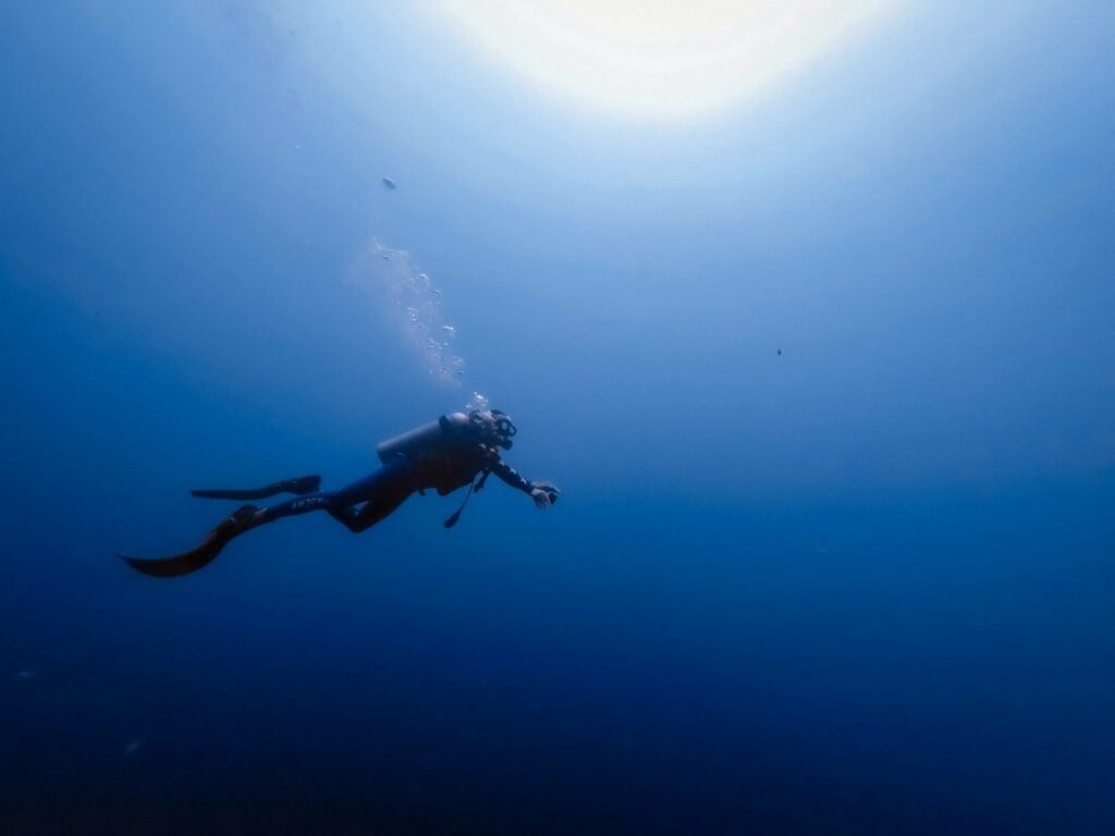 Netrani Scuba Diving, Honnavara & Murudeshwara