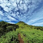 Tadiandamol Trek & Sightseeing from Bengaluru