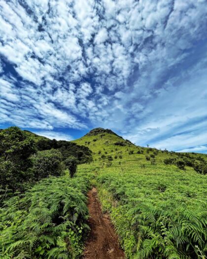 Tadiandamol trekking trial