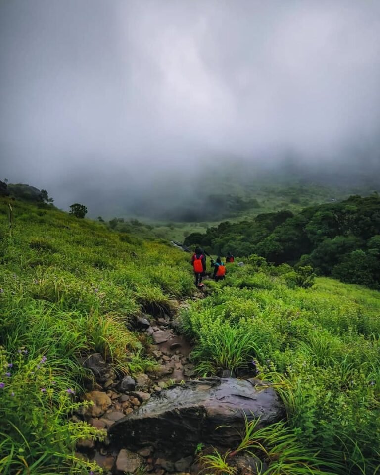 Tadiandamol Trek & Sightseeing from Bengaluru