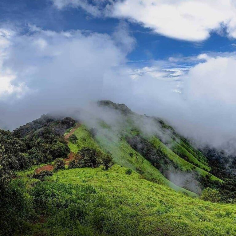 Kodachadri Trek