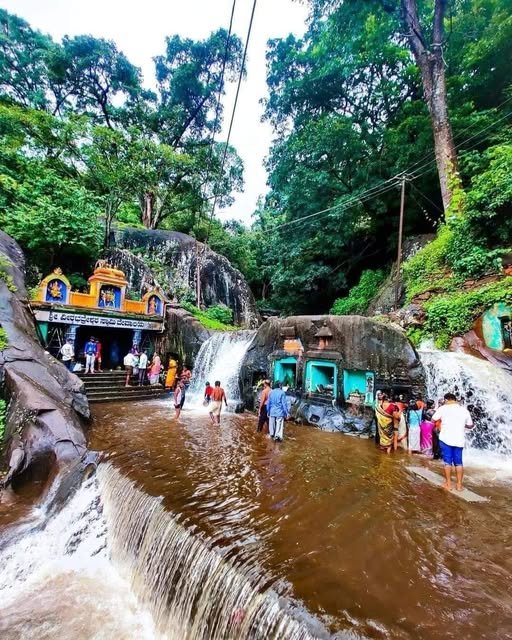 Chikmagalur Tour Package from Bangalore
