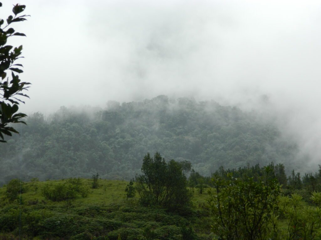 Gangadikal Trek from Bangalore
