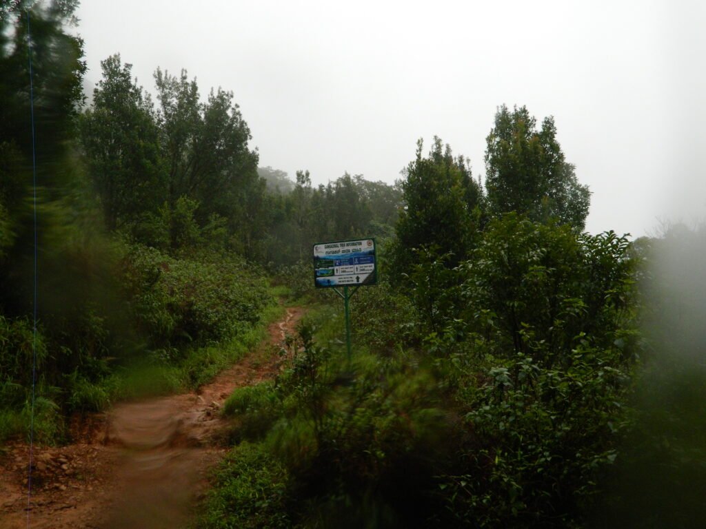 Gangadikal Trek from Bangalore