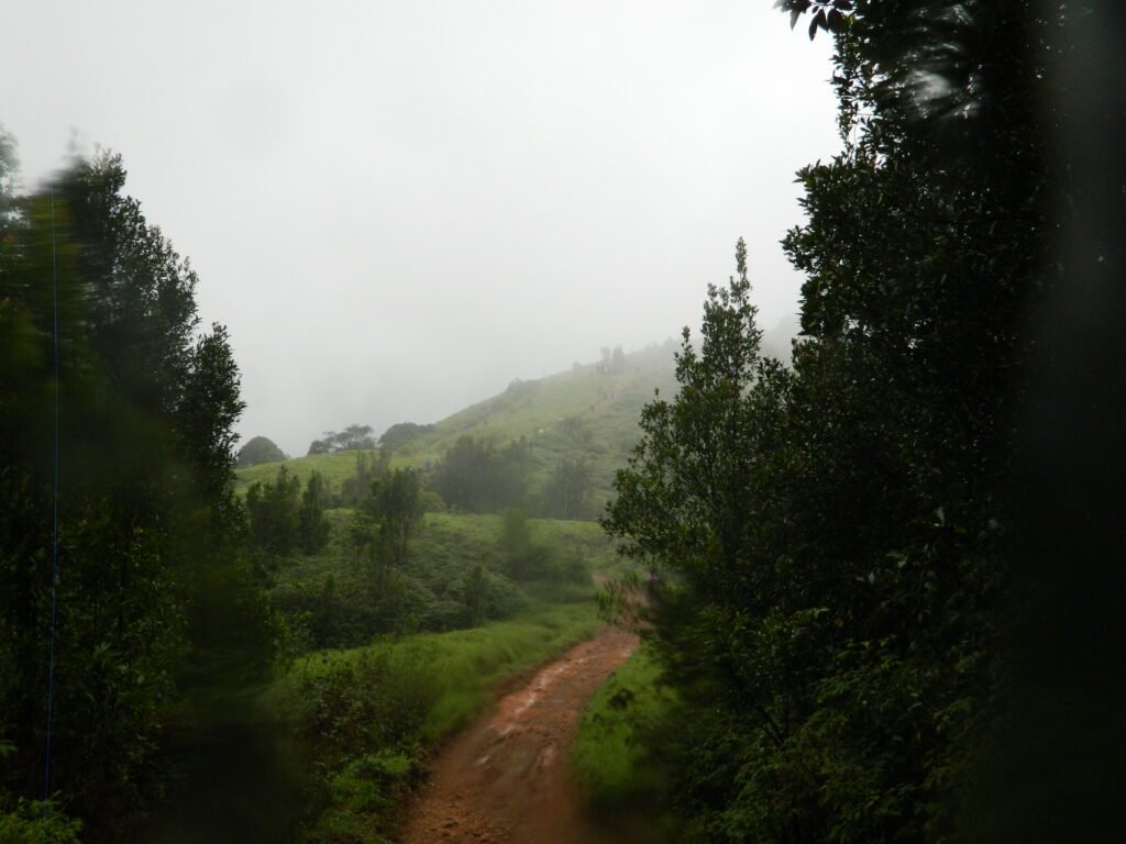 Gangadikal Trek from Bangalore