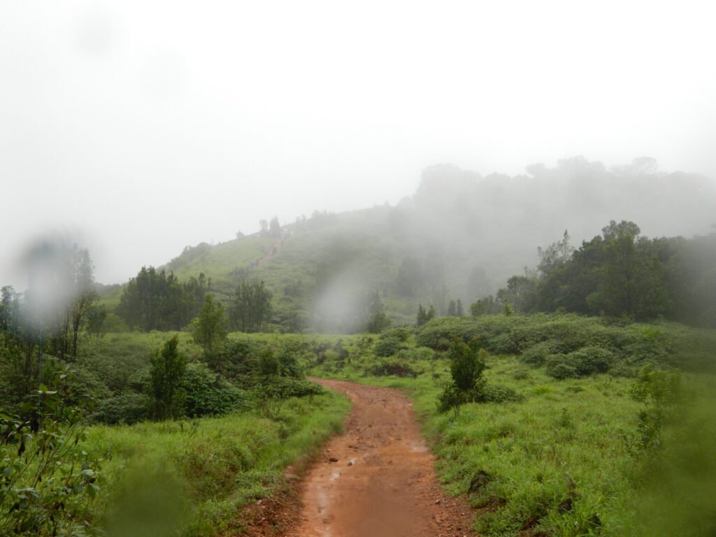 Gangadikal Trek from Bangalore