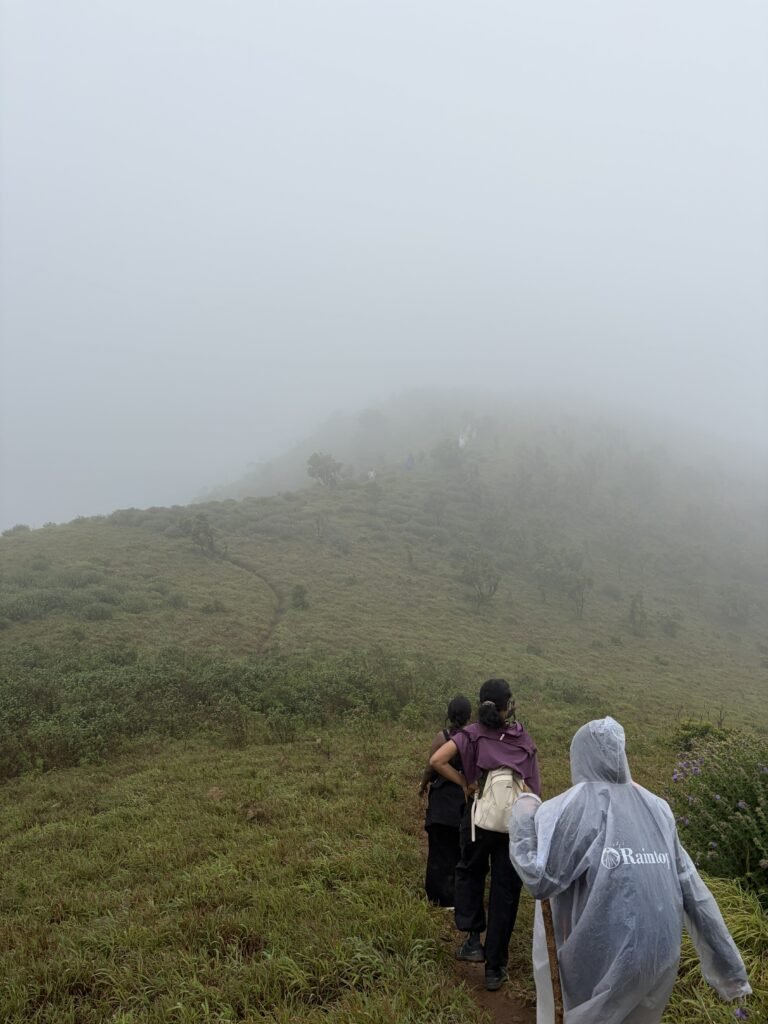 Nelji Hills Trek, Coorg