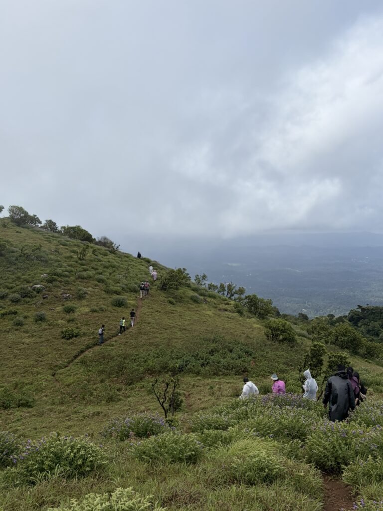 Nelji Hills Trek, Coorg