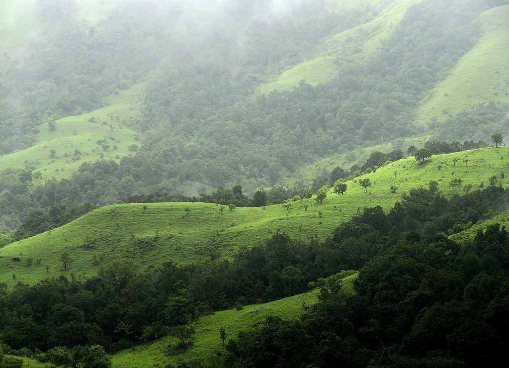 Chikmagalur Tour Package from Bangalore