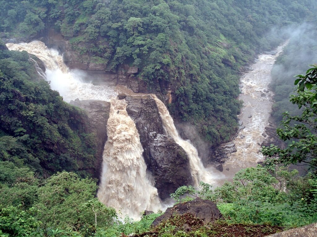 Dudhsagar Falls Trek from Bangalore