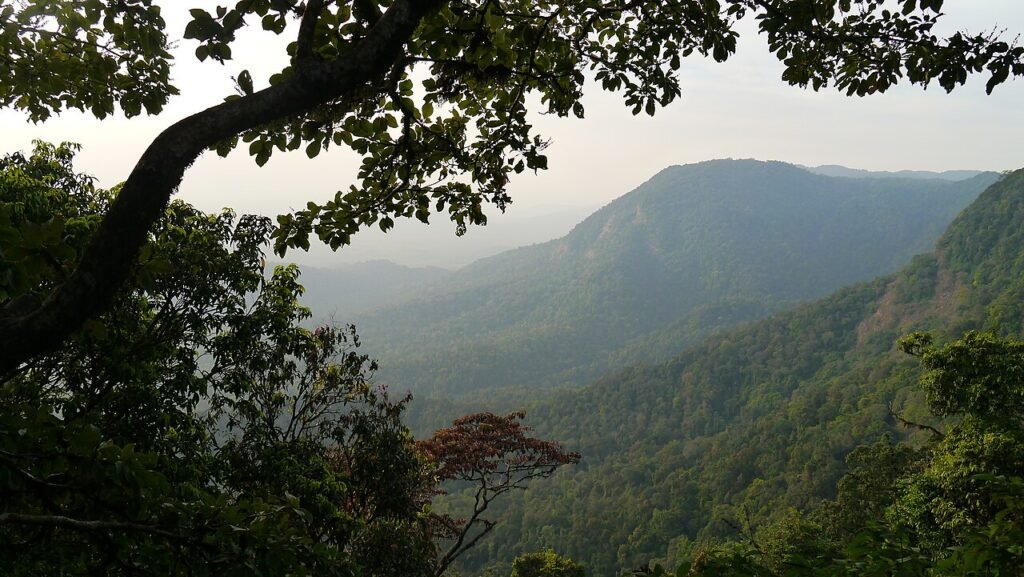 Agumbe Tour Package from Bangalore