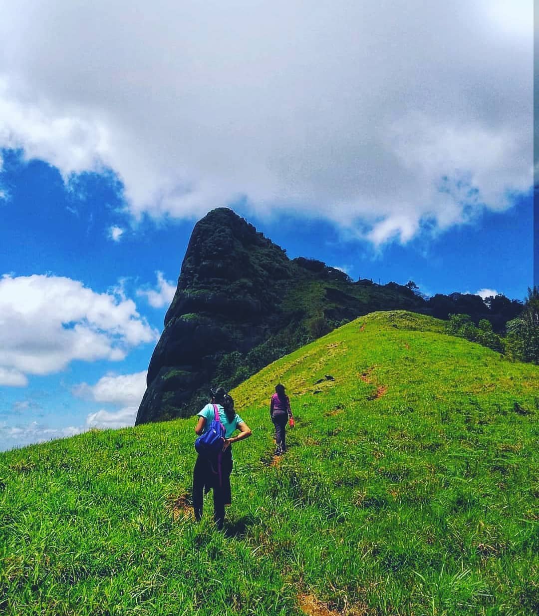 Kurinjal Peak Trek from Bangalore trek photo
