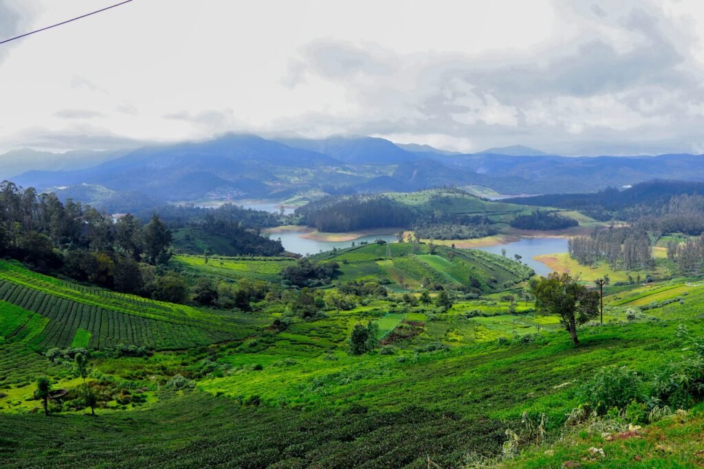 Ooty, Coonoor & Kotagiri 3 Days Tour Package from Bangalore