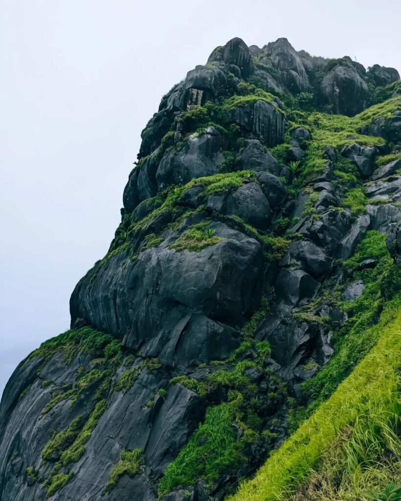 Kurinjal Peak Trek from Bangalore