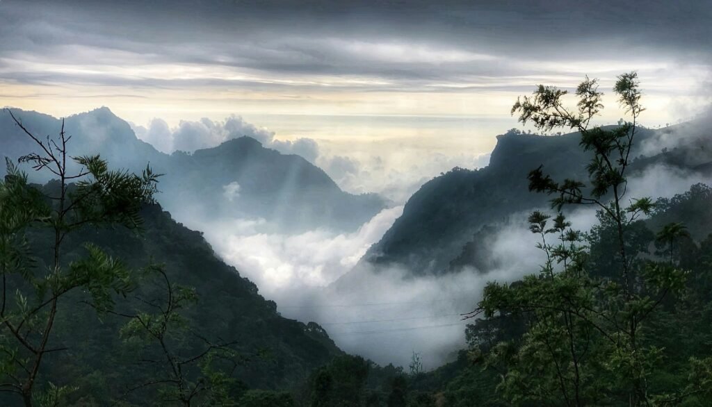 Ooty, Coonoor & Kotagiri 3 Days Tour Package from Bangalore