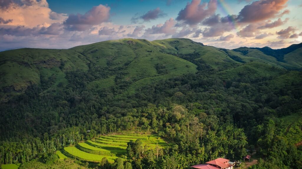 Chikmagalur Tour Package from Bangalore