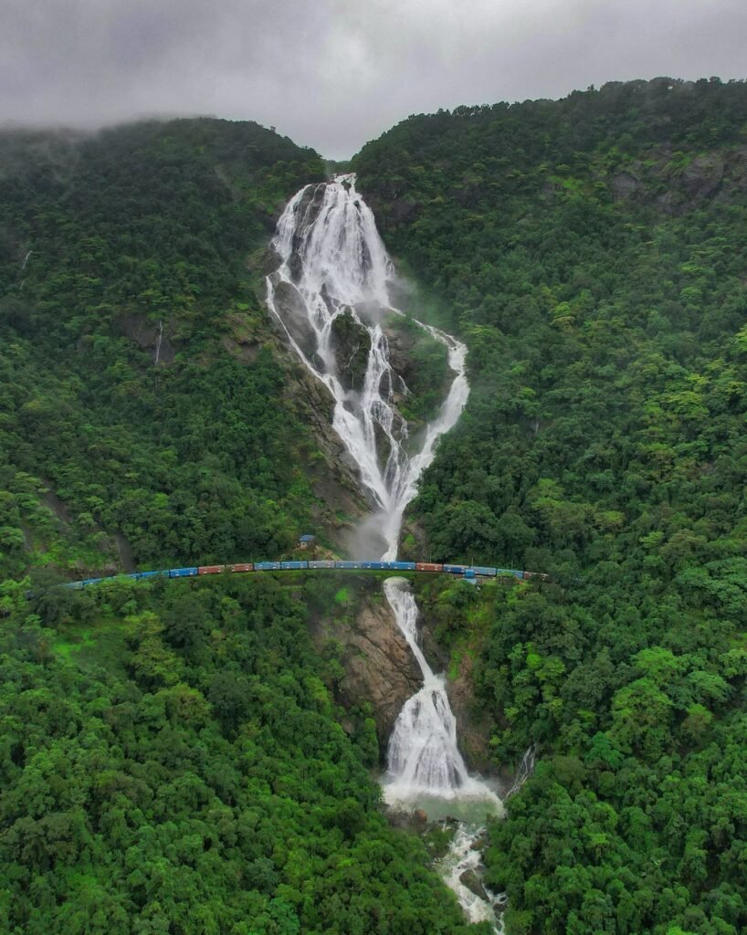 Dudhsagar Falls Trek from Bangalore