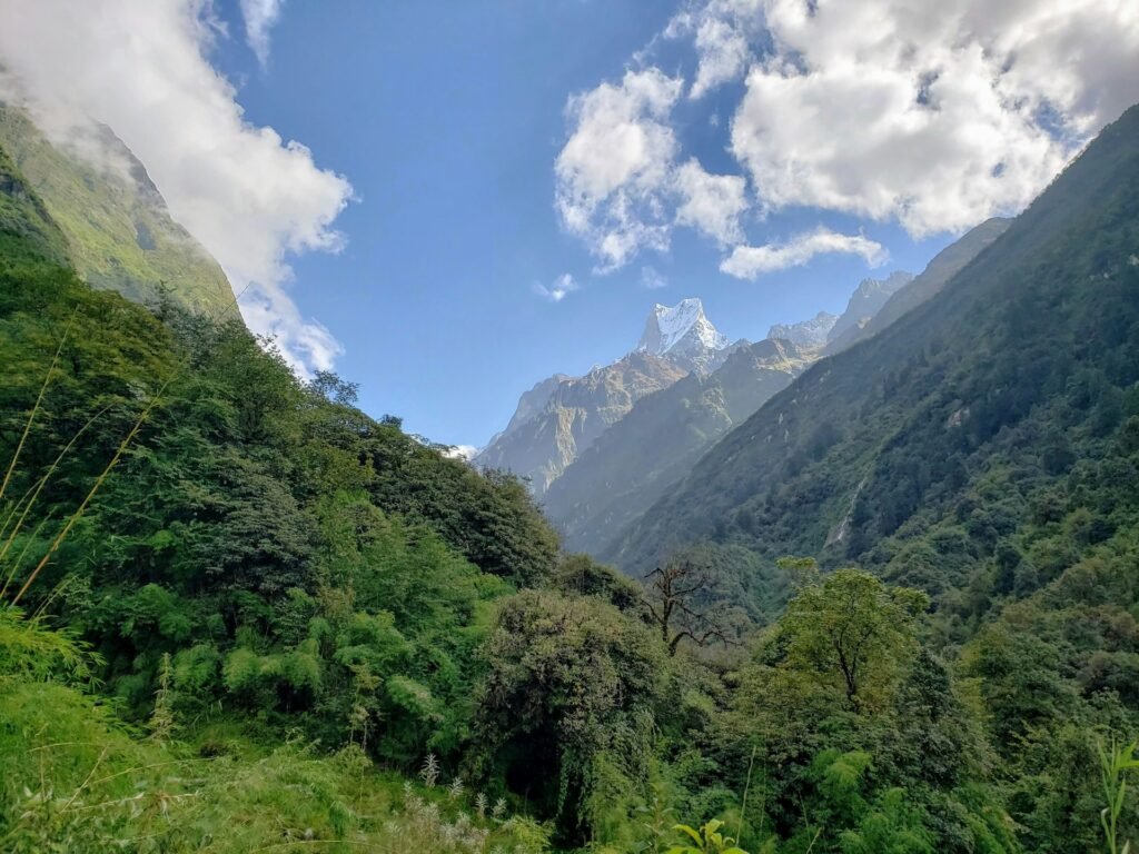 Bhutan Trip and Trek, November 2026