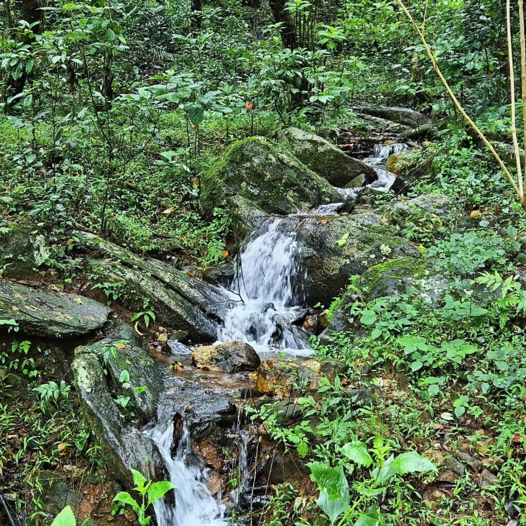 Karshi Gudda Trek
