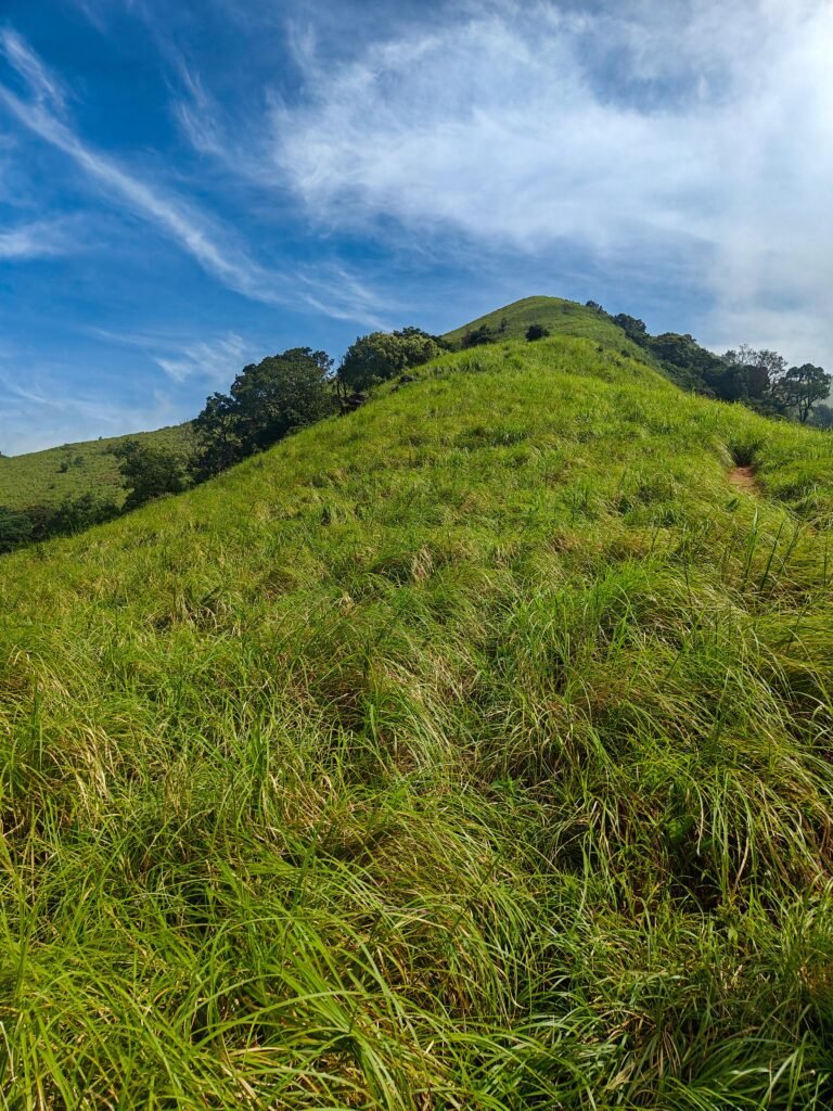 Bhramagiri Trek, Kerala